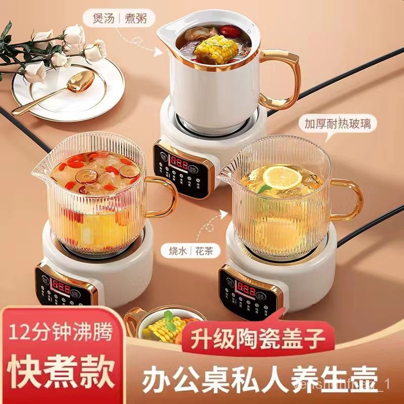 Quickly heating health pot mini multi-function tea maker boil