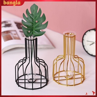 Hexagon Plant Geometric Glass Flower Tube Vase with Metal Frame - China  Tube Vases Wrought Iron and Geometric Glass Flower Tube Vase price