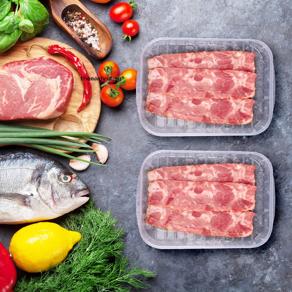 Theearlyut 4 Packs Bacon Keeper for Refrigerator Deli Meat Container