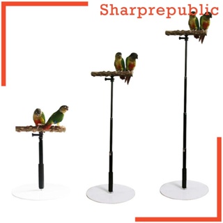 Pet Parrot Bird Claw Beak Grinding Perches Stand Rack Claw