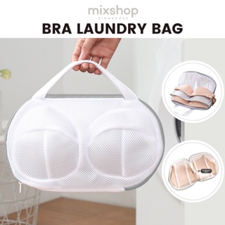 Laundry Mesh Bag - Best Price in Singapore - Jan 2024