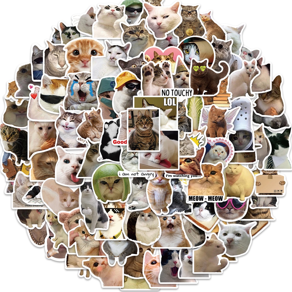 100/50PCS Funny Cat MEME Waterproof Graffiti Stickers For Helmet ...