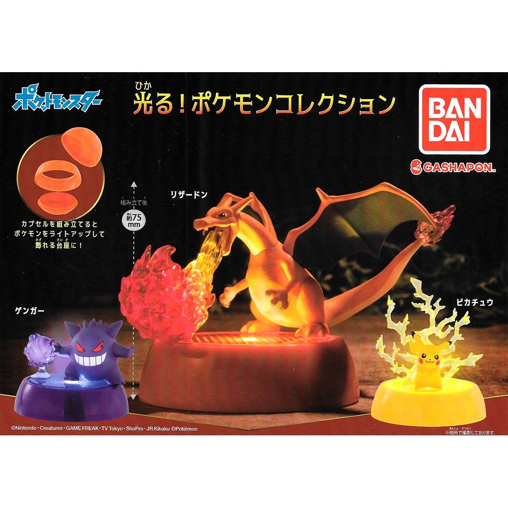 Pokemon charizard Capsule buy