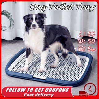 Large dog 2024 toilet tray