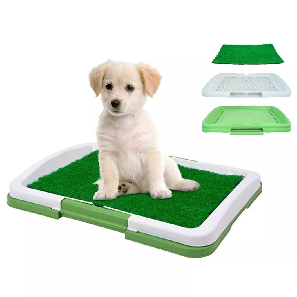 Pet toilet hot sale mat