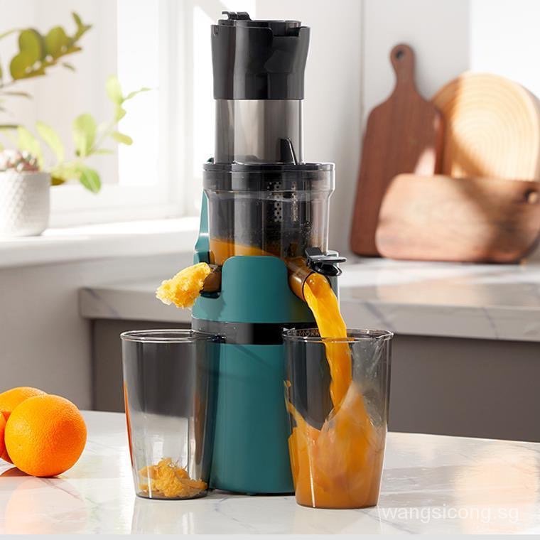 97 Slow Juicer Cold Press Luxury Vertical Masticating Juicer Machine