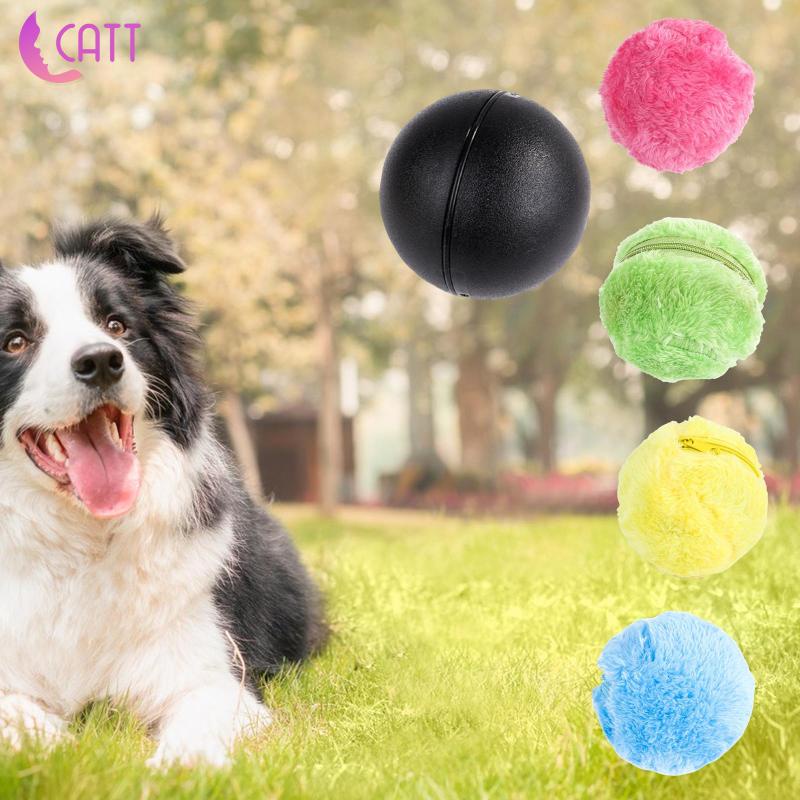 Magic roller ball for 2024 dogs