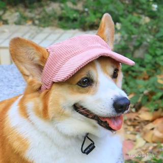 Dog Hat for Small Dogs Girl Boy Hats for Dogs Adjustable Dog Bucket Hat  Puppy Sun Hat Spring Summer Pet Baseball Cap Doggy Visor with Ear Holes and  Chin Strap for Dog