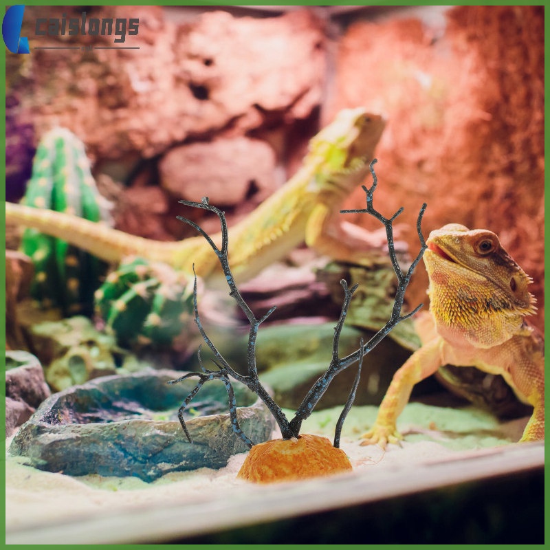 Reptile Habitats Tank Accessories Supplies Lizard Terrarium Decor