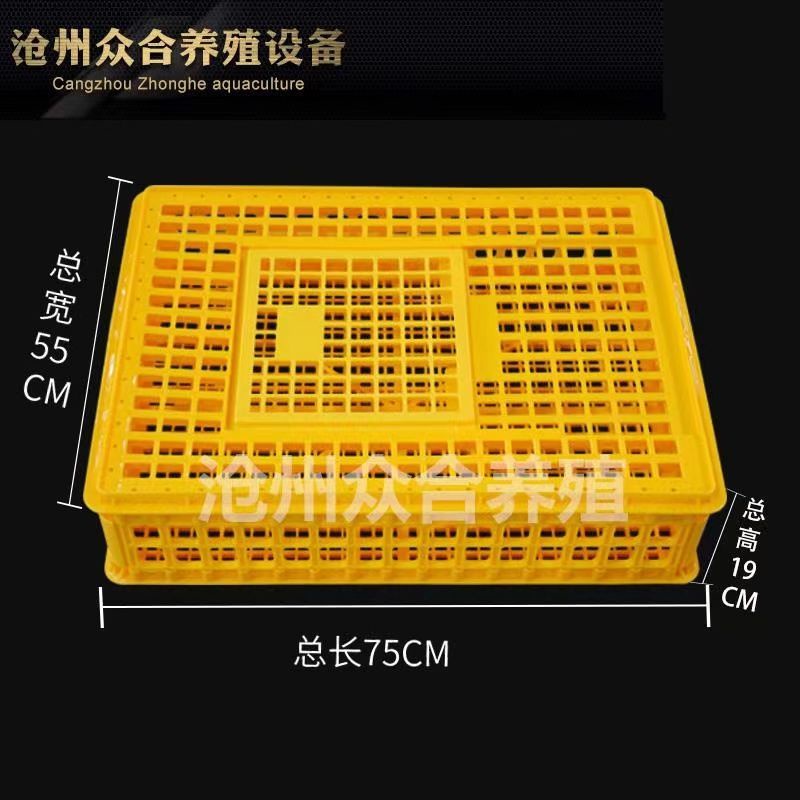 Poultry Transport Basket, Turnover Basket Plastic Basket, Chicken Basket, Chicken Coop, Rabbit