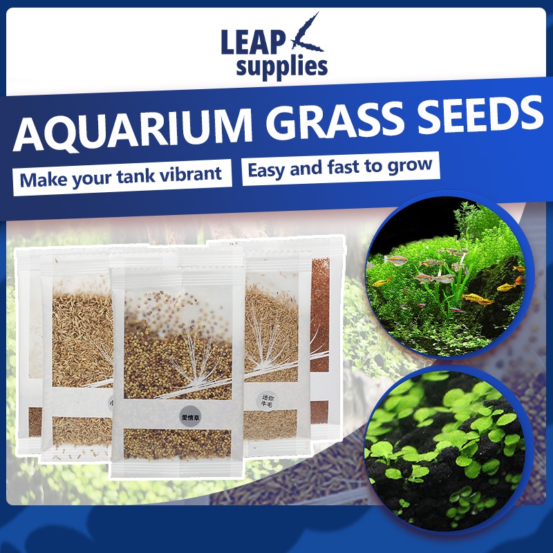 [SG STOCK] Aquarium Grass Seeds Freshwater Plant Seed Fish Tank Grass Shopee Singapore