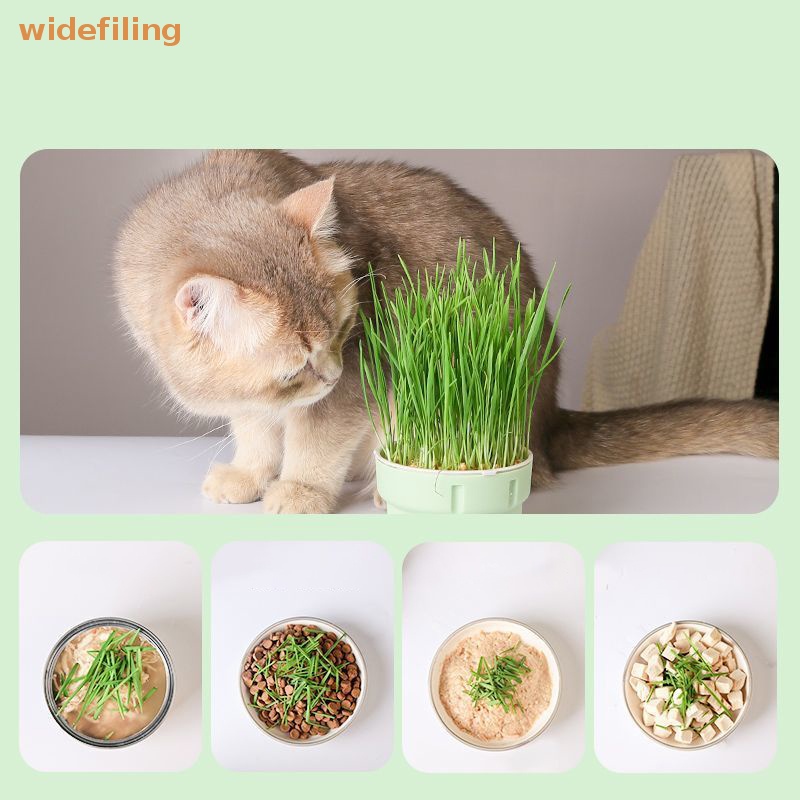 widefiling Cat Snack Cat Mint Plang Box Cat Grass Pot Color Contrast