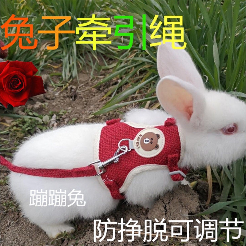 兔子牵引绳防挣脱兔链子遛兔绳可调节背心式溜兔子绳兔子用品项圈Rabbit traction rope to prevent pulling ...