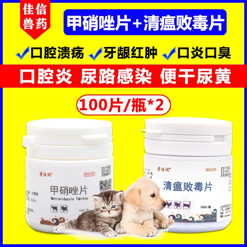 Pet Cat Oral Inflammation Dog Urinary Tract Infection Ulcer Gum Red