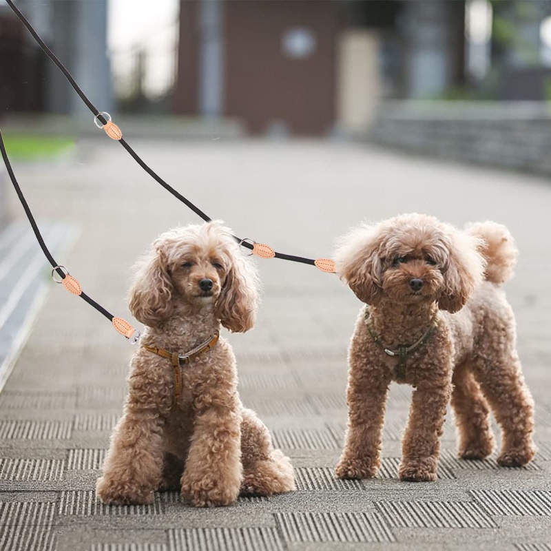 Benepaw No Tangle Dual Leash Dog Leash Hands-Free Nylon Dog Rope Lead ...