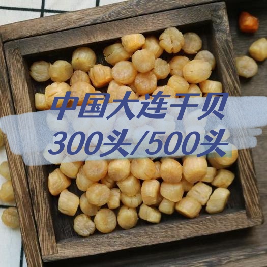 Scallop Scallop Seafood China Dried Scallop China Dried Scallop Dried