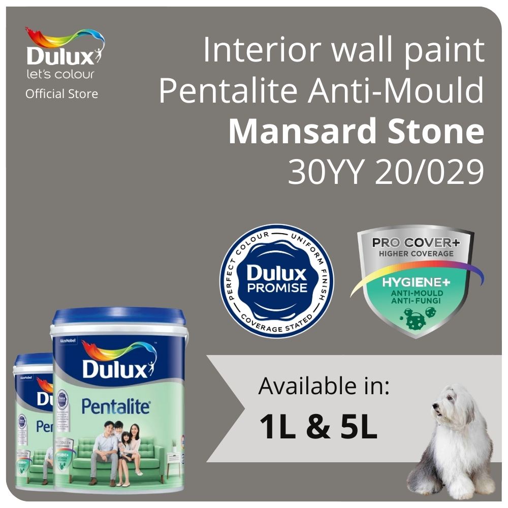 Dulux Interior Wall Paint Mansard Stone (30YY 20/029) (AntiFungus