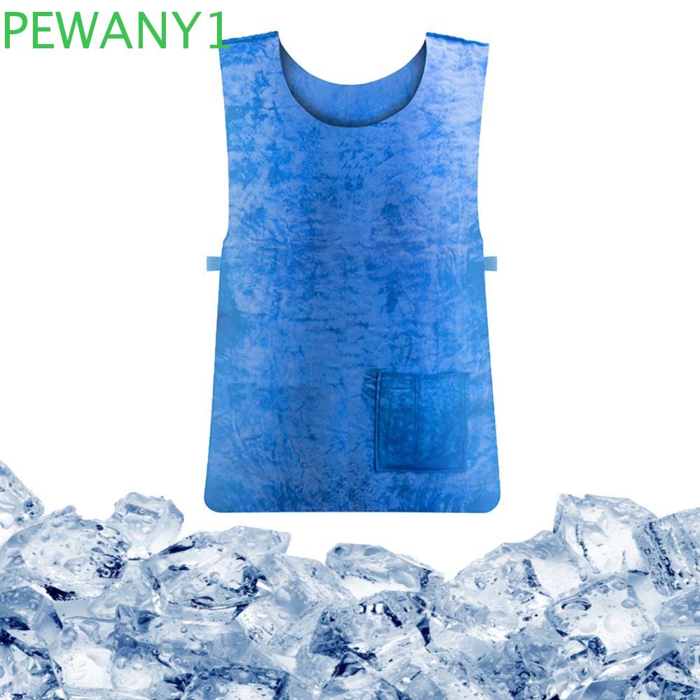 PEWANY1 Summer Cooling Vest, Lightweight Heatstroke Prevention Ice