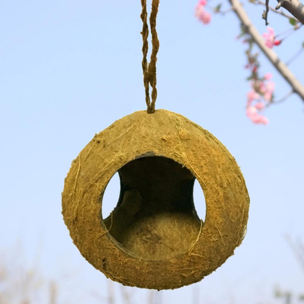 Glodok Natural Coconut Shell Bird's Nest Parakeet Three Holes Bird's