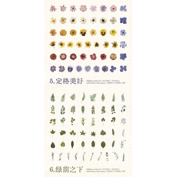 100 Pcs Transparent Flower Stickers Tulip Rose Hydrangea Floral Themed ...