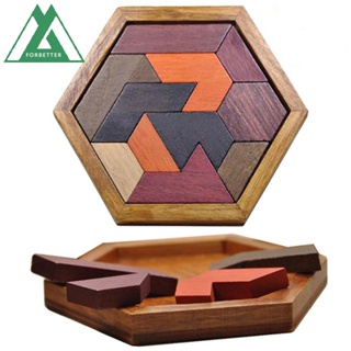 3D Wooden Mini Puzzle 12 Piece Set Fridolin IQ-Test Brain Teaser New