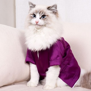 Cheap 2024 cat clothes