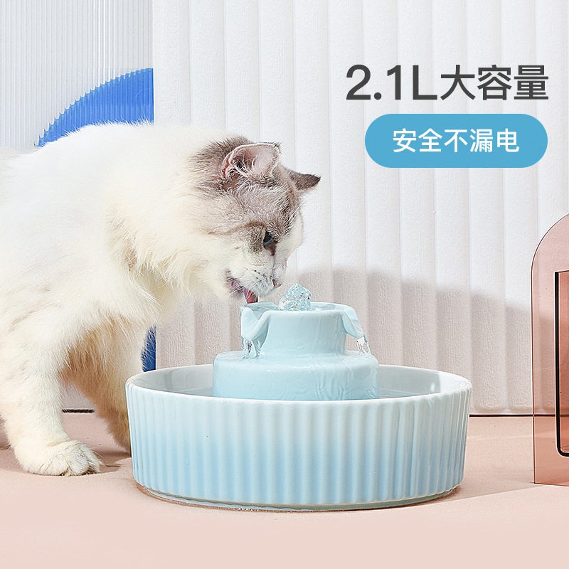 Electric water clearance dish for pets