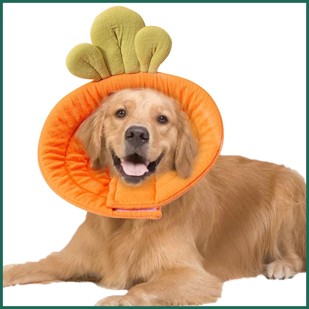 Protective headgear best sale for dogs