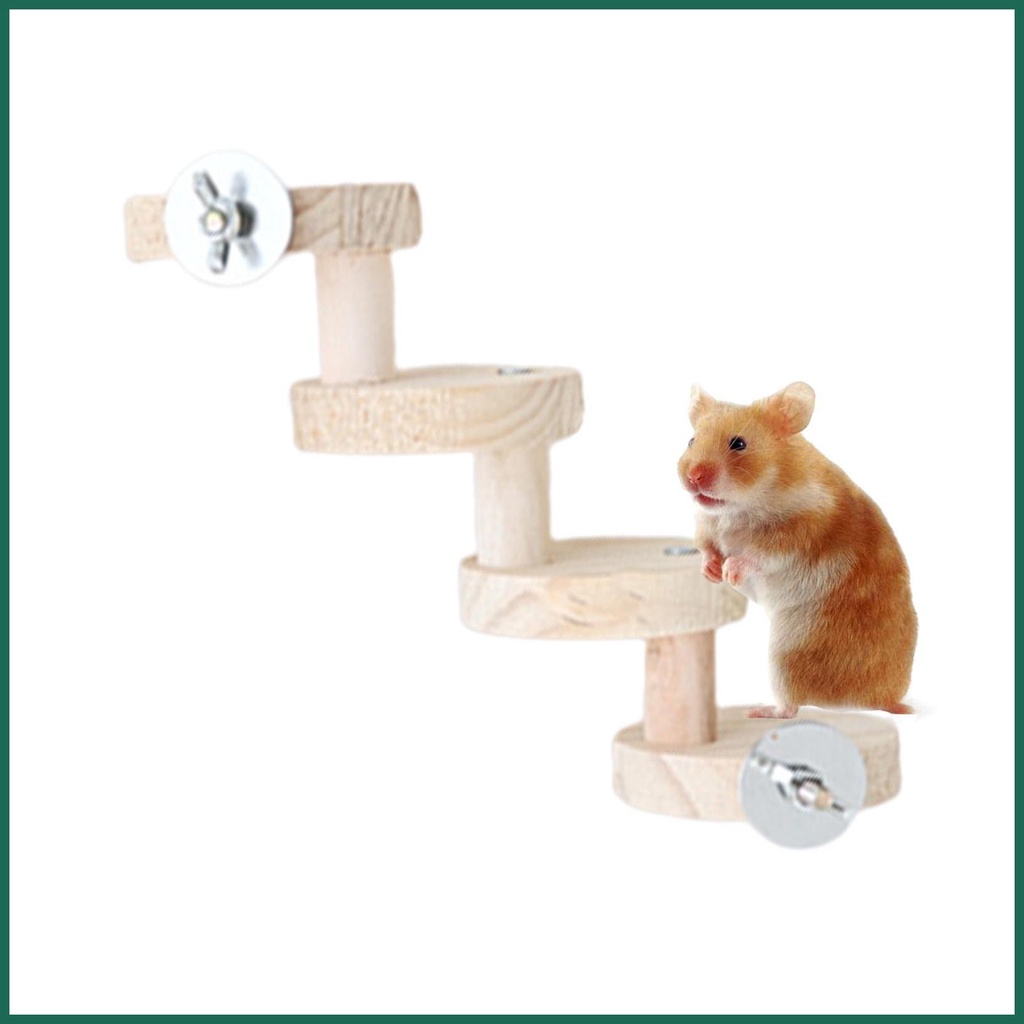 Hamster 2024 climbing toys