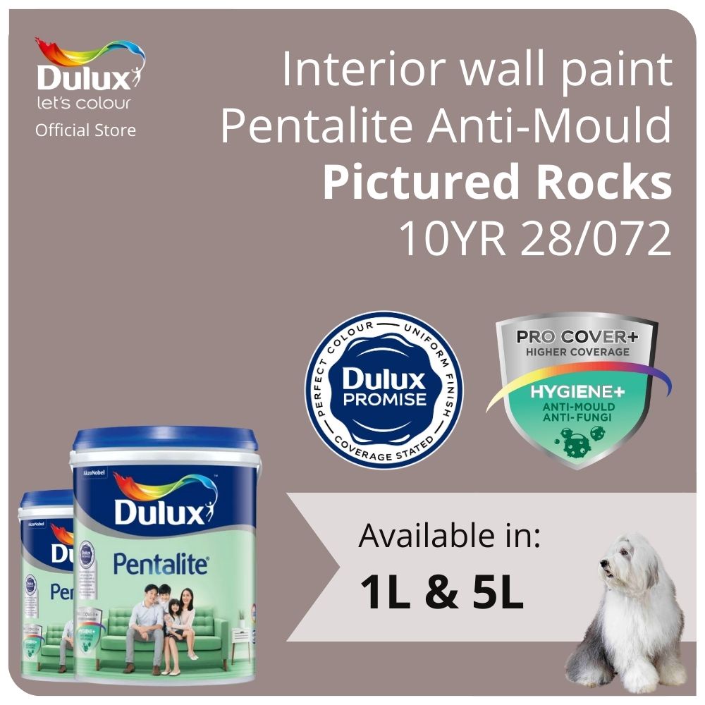 Dulux Interior Wall Paint Pictured Rocks (10YR 28/072) (AntiFungus