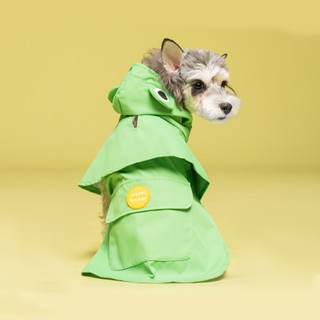 Frog raincoat deals for dogs