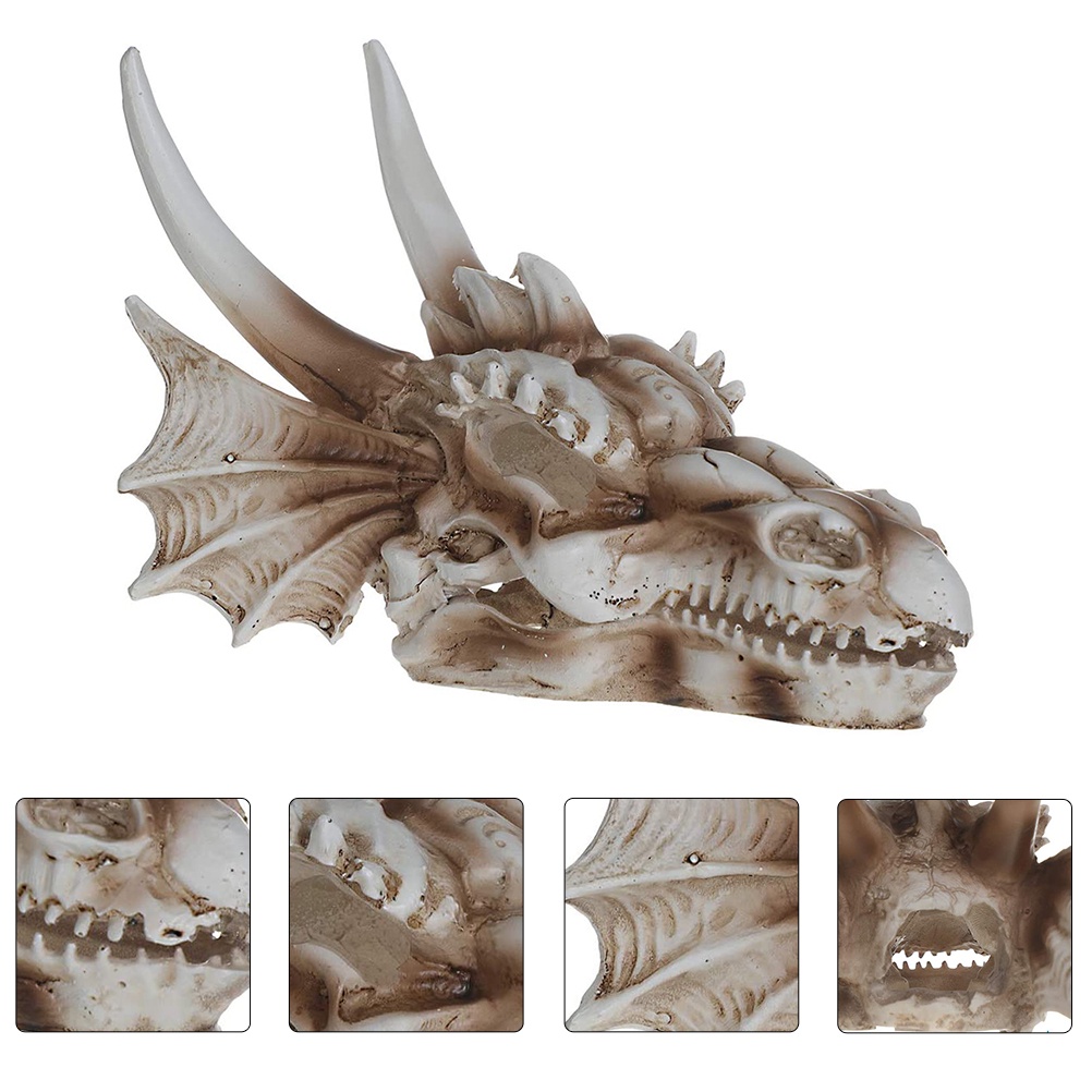 Dinosaur Skull Ornament Amphibia Merch Artificial Decor Amphibian
