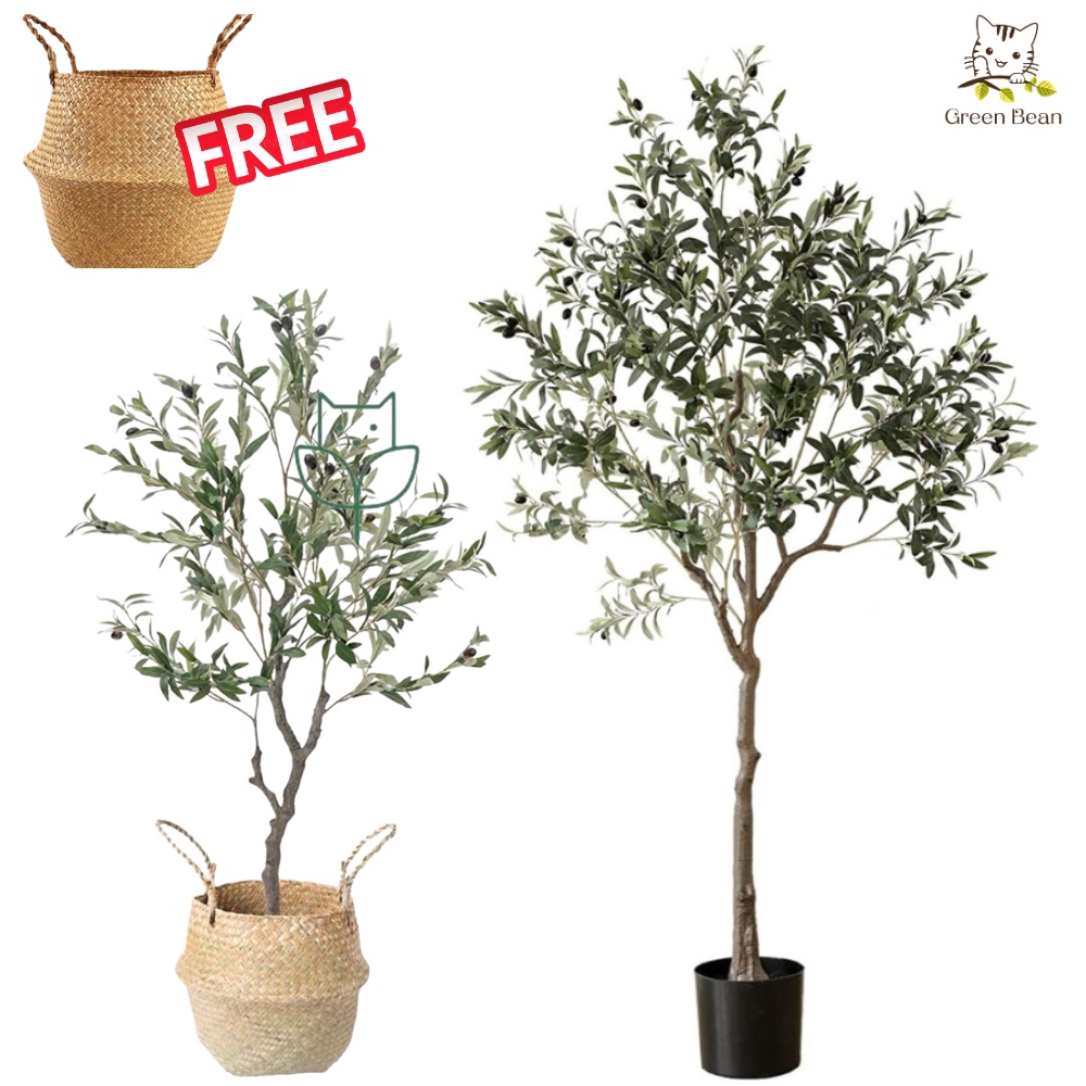 Sg Stock Artificial Plant Olive Tree Medium Size Fake Plant Home