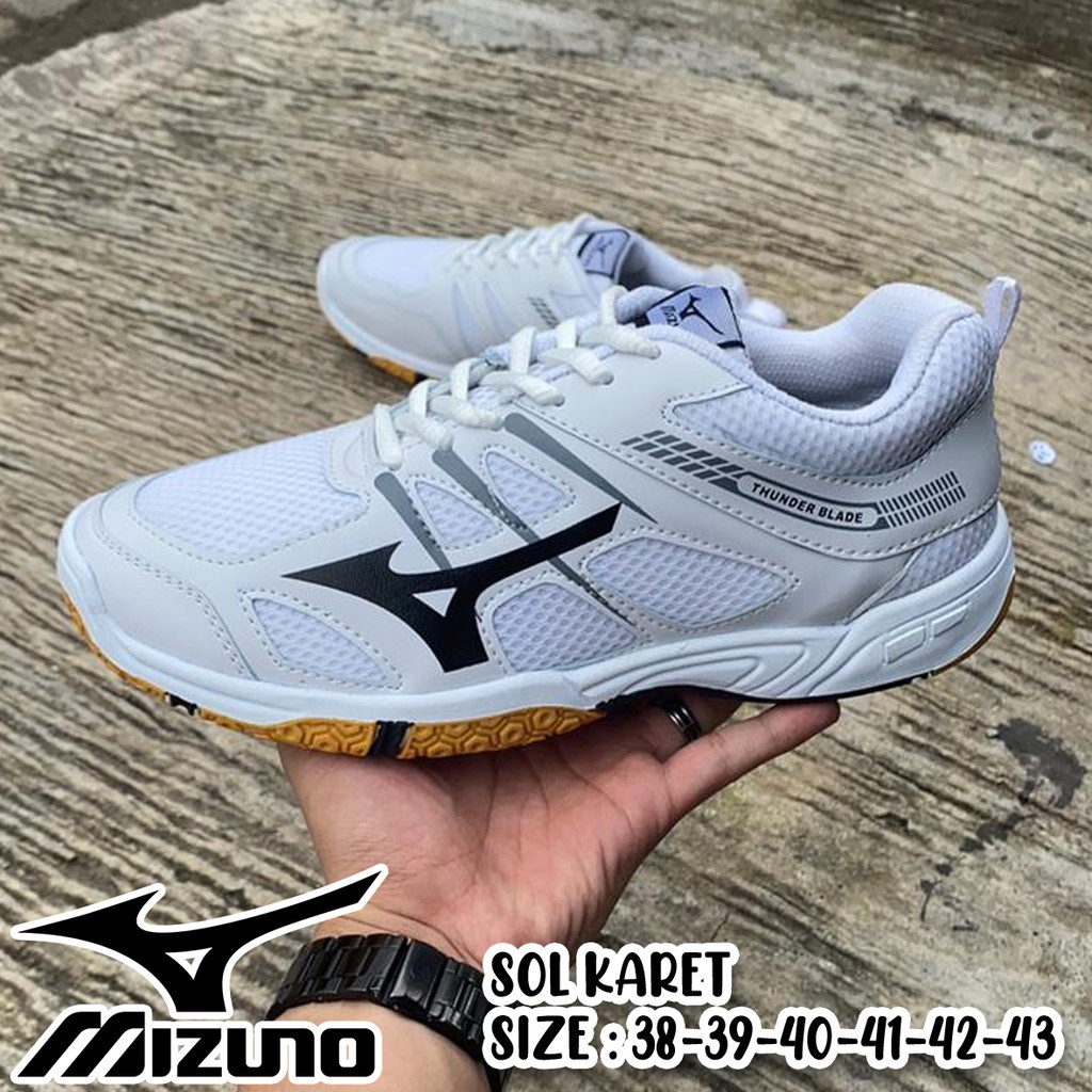 Mizuno badminton 2025 shoes singapore