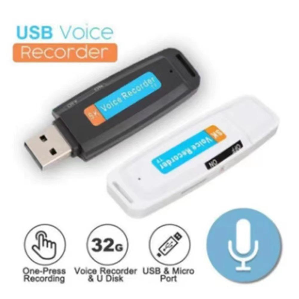 DELMER13P Flash Drive Dictaphone, USB Built-in Microphone U Disk Audio ...