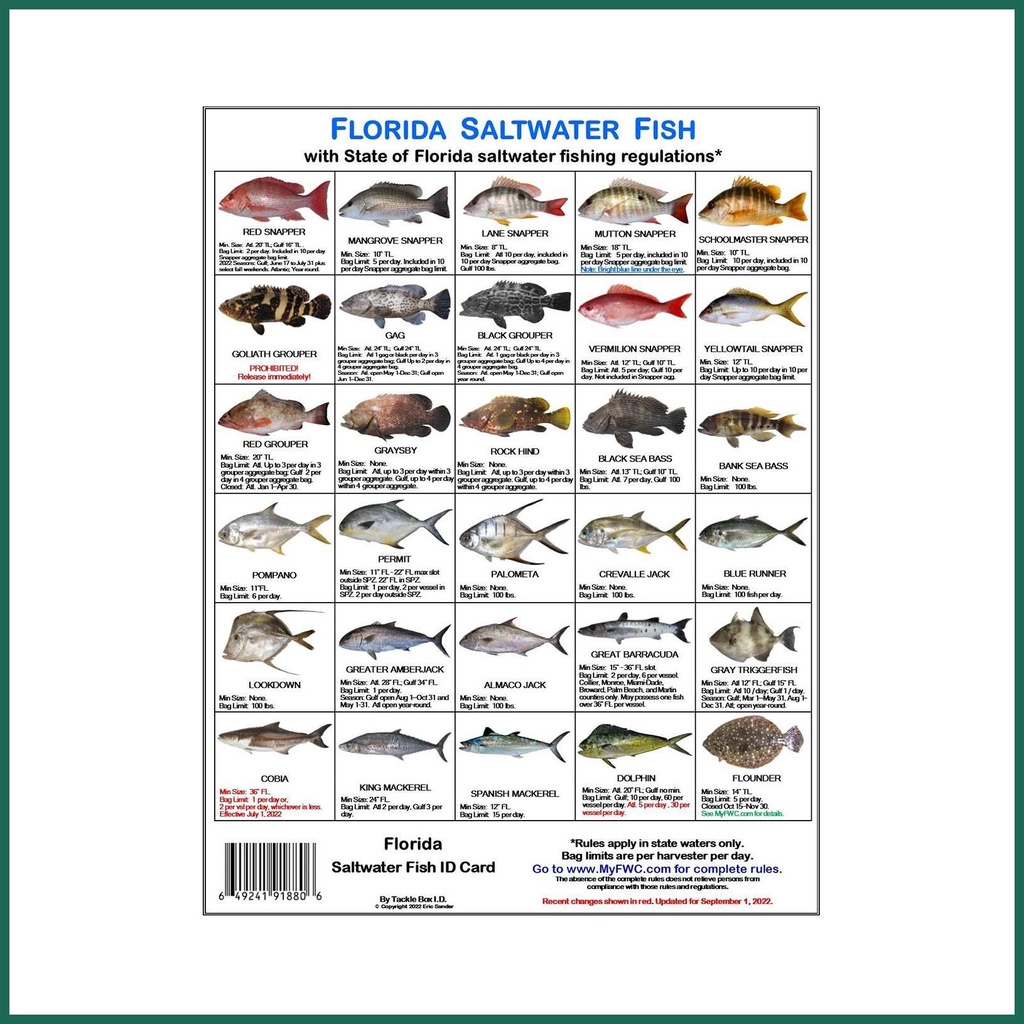 Florida Saltwater Fish Identification Card Magnetic Color Photos of