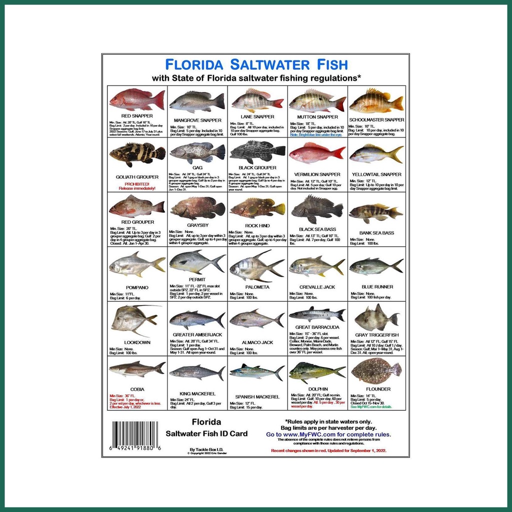 Florida Saltwater Fish Identification Card Magnetic Color Photos of ...