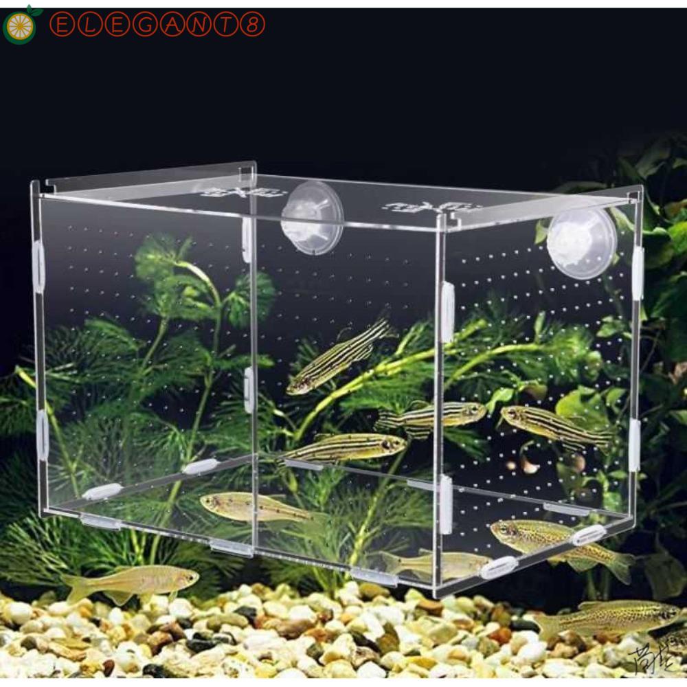 AELEGANT Incubator Transparent Single Grid Fish Tank Incubator Breeding ...