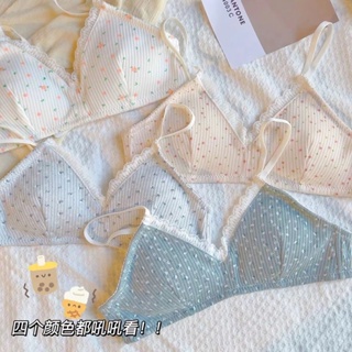 [Japan SUJI 10.0 bra] Japan SUJI seamless underwear, women's