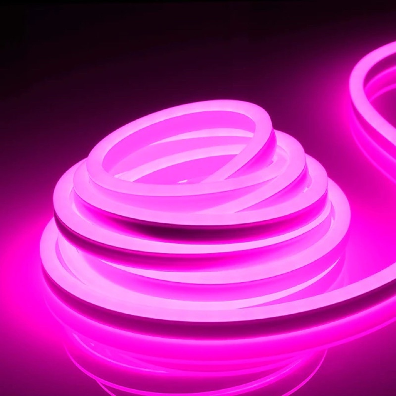 (SG shop) Neon LED Strip Light Neon Light Strip 12V Silicone LED Neon ...
