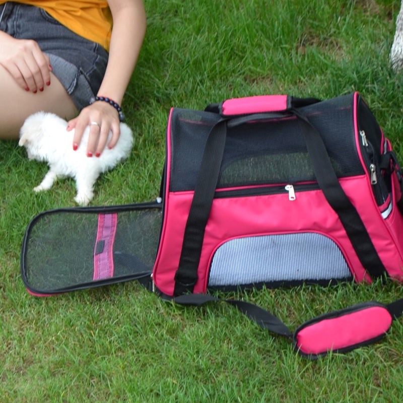 Beachesen Teddy out portable travel bag Bixiong bag cat backpack cat ...