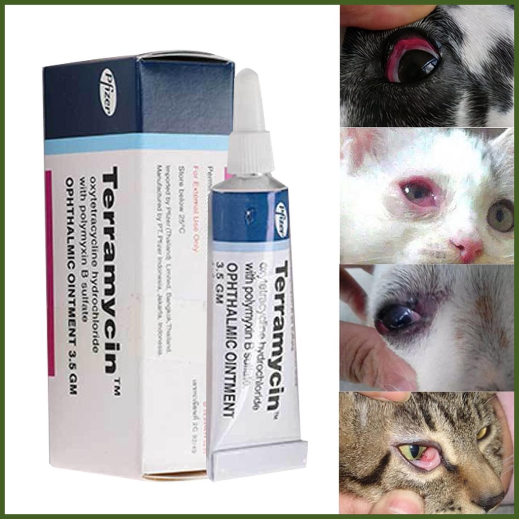 Pet Eye Ointment Conjunctival Keratitis Eye Drops Ointment For