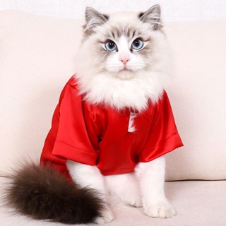 Cheap clearance cat clothes