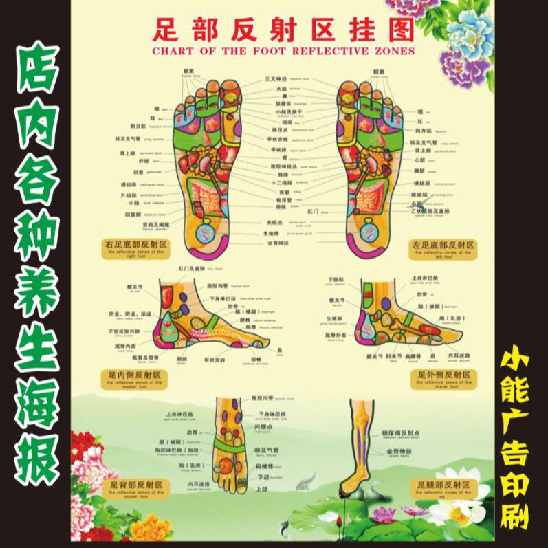 Acupuncture Map Foot Acupuncture Map HD Foot Massage Foot Reflex Area