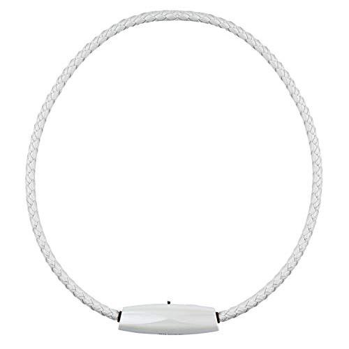 Light air purifier that just hangs around your neck ible Airvida M1