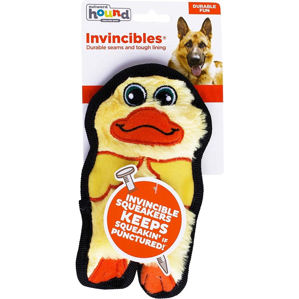 Invincible Mini Duck Dog Toy by Outward Hound | Shopee Singapore