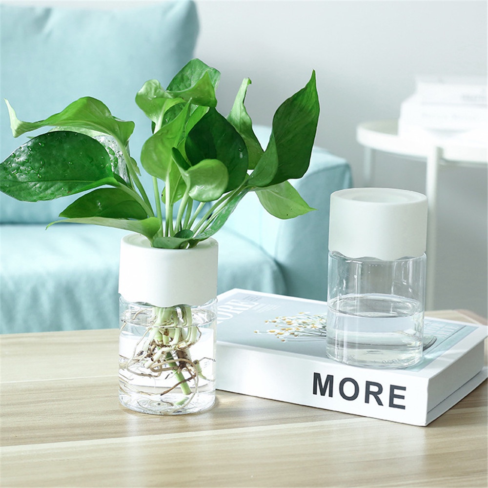 11.8*6.8cm Mini Hydroponic Pot Water Planting Vase Plastic Flower Pot ...