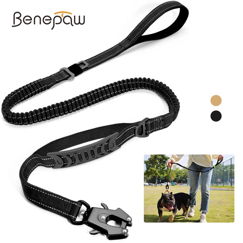 Elastic 2025 dog leash