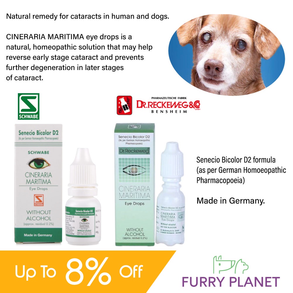 Dr. Reckeweg / Schwabe Cineraria Maritima Eye Drop 10ml Shopee Singapore