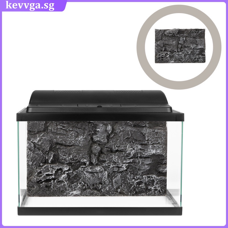 Terrarium Wallpaper Reptile Bark Background Tank 3d Fish Rock Slab